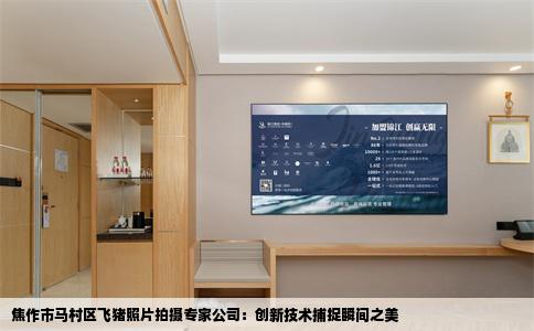 焦作市马村区飞猪照片拍摄专家公司：创新技术捕捉瞬间之美