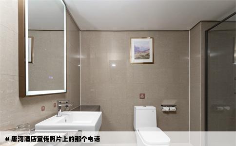# 唐河酒店宣传照片上的那个电话