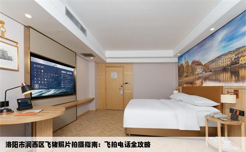 洛阳市涧西区飞猪照片拍摄指南：飞拍电话全攻略