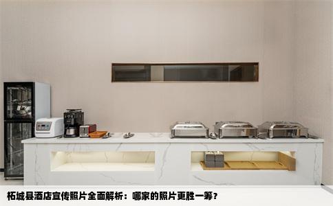 柘城县酒店宣传照片全面解析：哪家的照片更胜一筹？