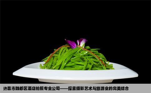 许昌市魏都区酒店拍照专业公司——探索摄影艺术与旅游业的完美结合