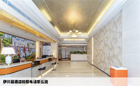 伊川县酒店拍照电话怎么找
