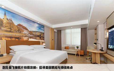 尉氏县飞猪照片拍摄攻略：探寻美丽瞬间与绝佳地点