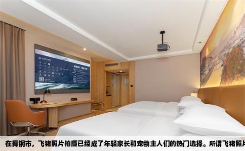 在舞钢市，飞猪照片拍摄已经成了年轻家长和宠物主人们的热门选择。所谓飞猪照片，并不是天上飞的那种猪，而是让小猪在跳跃时被高速快门定格，或者用错位和后期修图制造出猪身腾空的错觉。这种照片讲究的是动感、趣味和爆发力，对摄影师抓拍能力、灯光判断和后期功力要求很高，不是随便一家婚纱摄影店都能胜任。