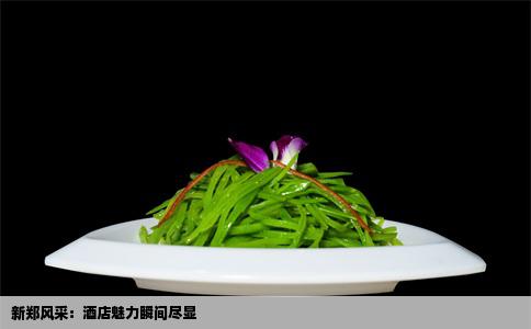 新郑风采：酒店魅力瞬间尽显