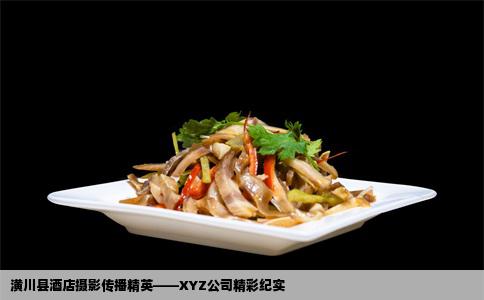 潢川县酒店摄影传播精英——XYZ公司精彩纪实